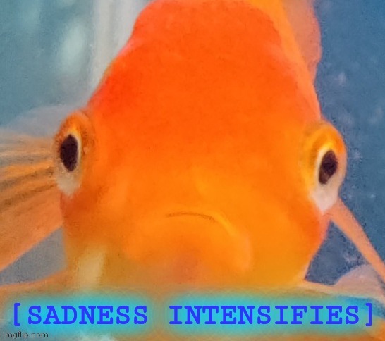 FSH | image tagged in sad fish | made w/ Imgflip meme maker