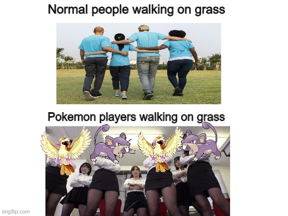 Pokemon players walking on grass | Normal people walking on grass; Pokemon players walking on grass | image tagged in blank white template,pokemon,grass,memes,gaming,funny | made w/ Imgflip meme maker