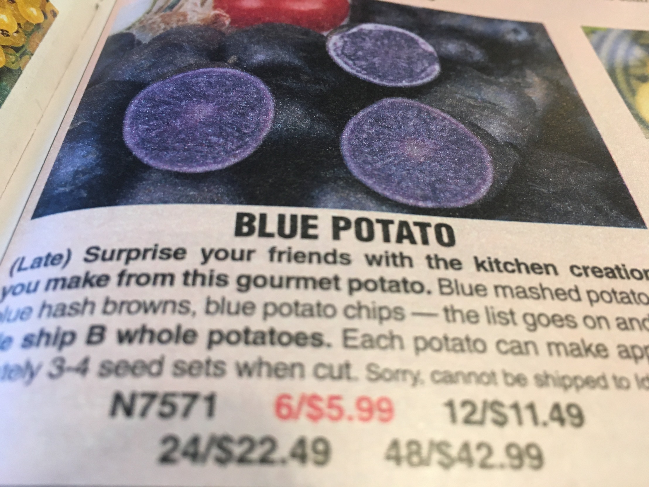 Blue potatoe Blank Meme Template