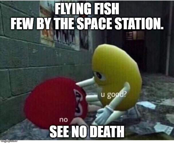 haha funny u dont die | FLYING FISH FEW BY THE SPACE STATION. SEE NO DEATH | image tagged in u good no | made w/ Imgflip meme maker