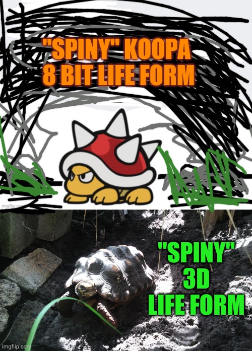 Spiny Koopa | "SPINY" KOOPA 
8 BIT LIFE FORM; "SPINY" 3D LIFE FORM | image tagged in rainbow six - fuze the spiny | made w/ Imgflip meme maker