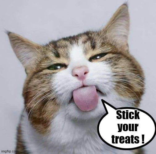 Stick your treats ! | Stick
your
treats ! | image tagged in miley cyrus tongue | made w/ Imgflip meme maker