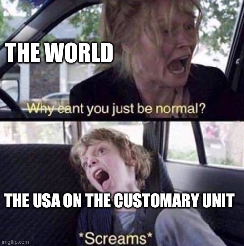 Enjoy | THE WORLD; THE USA ON THE CUSTOMARY UNIT | image tagged in why can't you just be normal | made w/ Imgflip meme maker
