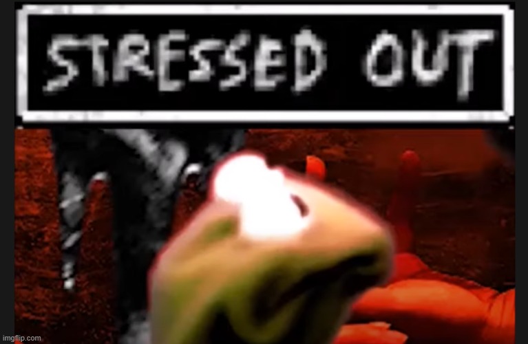 new temp | image tagged in stressed kermit | made w/ Imgflip meme maker