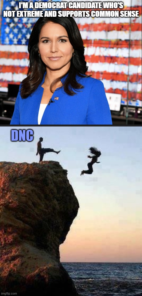 I'M A DEMOCRAT CANDIDATE WHO'S NOT EXTREME AND SUPPORTS COMMON SENSE; DNC | image tagged in tulsi gabbard,kicking off cliff | made w/ Imgflip meme maker