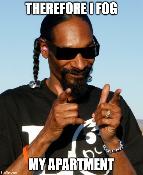 Snoop Dogg approves | THEREFORE I FOG MY APARTMENT | image tagged in snoop dogg approves | made w/ Imgflip meme maker