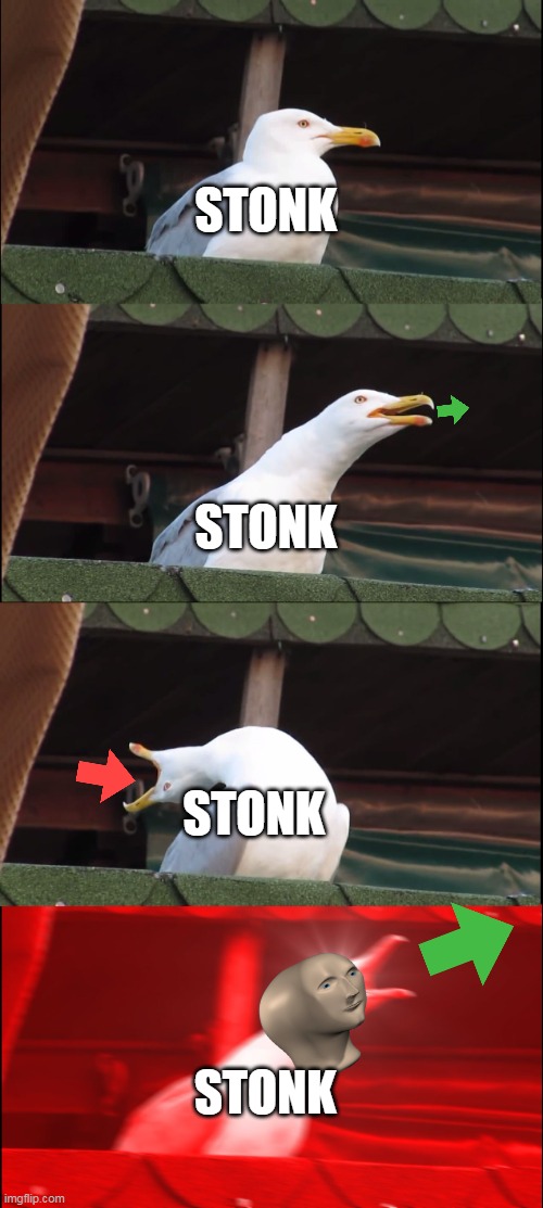 Stock up | STONK; STONK; STONK; STONK | image tagged in memes,inhaling seagull,stonks | made w/ Imgflip meme maker