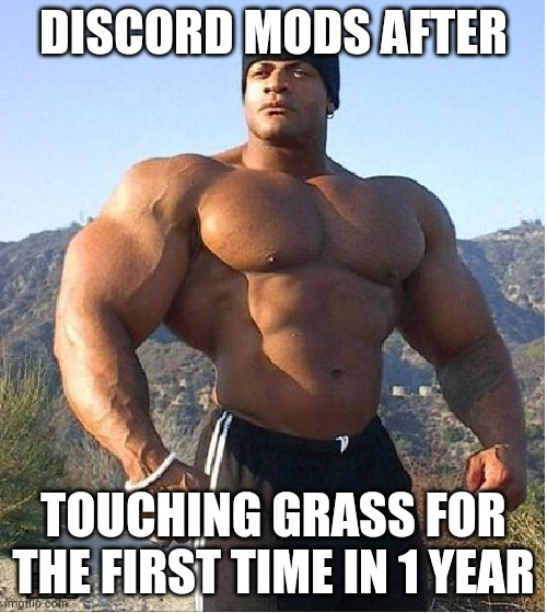 E |  DISCORD MODS AFTER; TOUCHING GRASS FOR THE FIRST TIME IN 1 YEAR | image tagged in buff guy,lol,haha,memes,discord mod | made w/ Imgflip meme maker