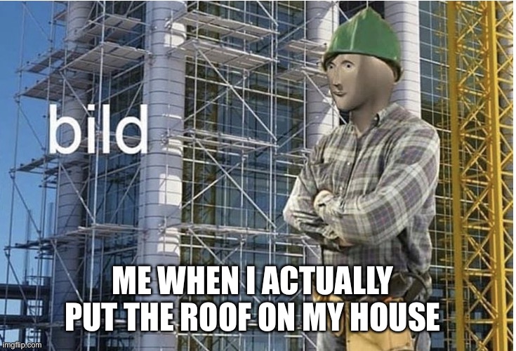 bild meme | ME WHEN I ACTUALLY PUT THE ROOF ON MY HOUSE | image tagged in bild meme | made w/ Imgflip meme maker