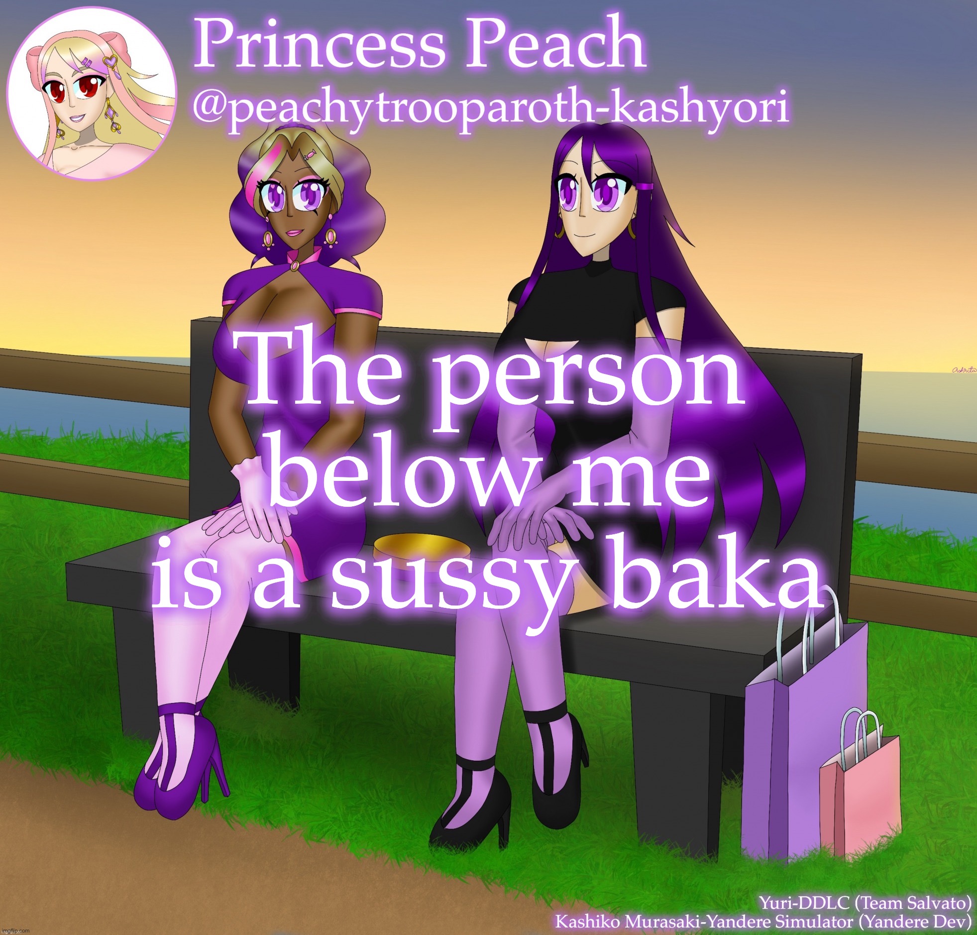Yuri and Kashiko Murasaki | The person below me is a sussy baka | image tagged in yuri and kashiko murasaki | made w/ Imgflip meme maker