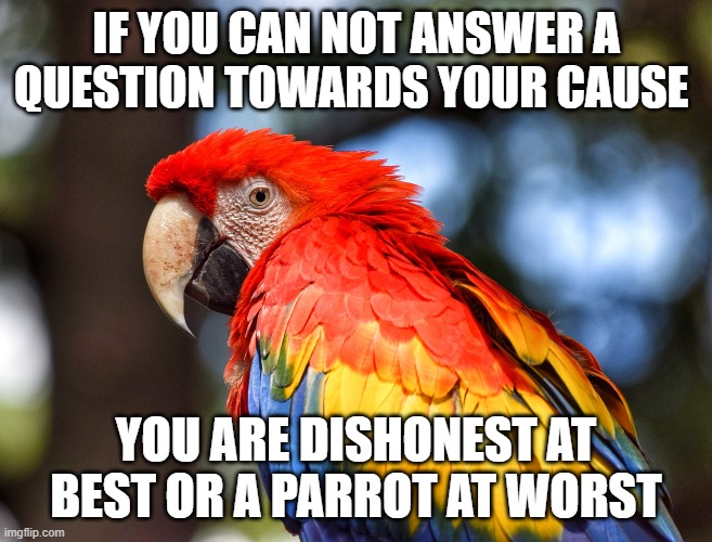 IF YOU CAN NOT ANSWER A QUESTION TOWARDS YOUR CAUSE YOU ARE DISHONEST AT BEST OR A PARROT AT WORST | made w/ Imgflip meme maker