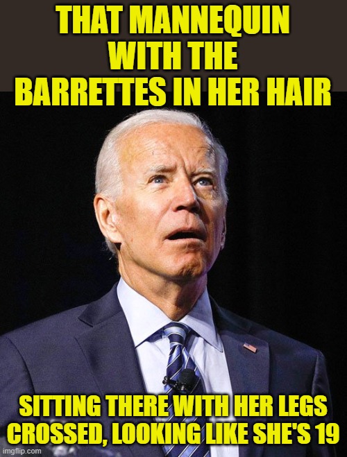 Joe Biden | THAT MANNEQUIN WITH THE BARRETTES IN HER HAIR SITTING THERE WITH HER LEGS CROSSED, LOOKING LIKE SHE'S 19 | image tagged in joe biden | made w/ Imgflip meme maker