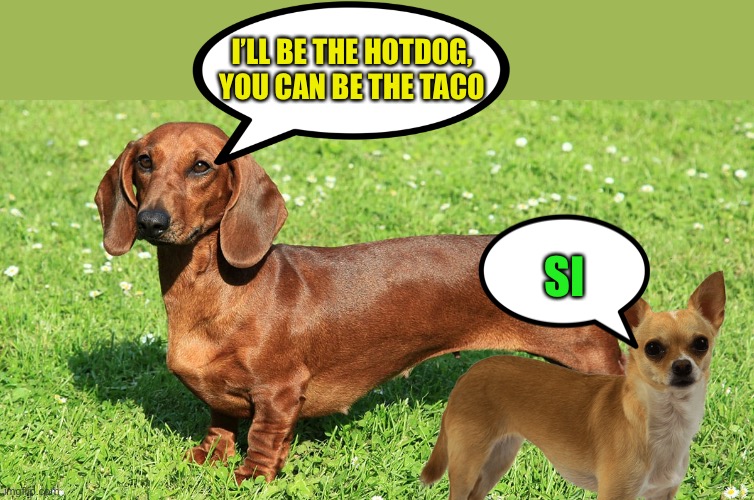 I’LL BE THE HOTDOG,
YOU CAN BE THE TACO SI | made w/ Imgflip meme maker