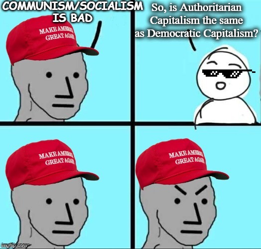 Democratic Socialism is not the same as Authoritarian Socialism. | COMMUNISM/SOCIALISM IS BAD; So, is Authoritarian Capitalism the same as Democratic Capitalism? | image tagged in maga npc an an0nym0us template,socialism,communism,authoritarianism,democracy,capitalism | made w/ Imgflip meme maker