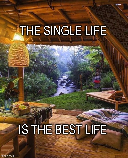 SingleLivingWoman |  THE SINGLE LIFE; IS THE BEST LIFE | image tagged in single life,it is acceptable,dummy | made w/ Imgflip meme maker