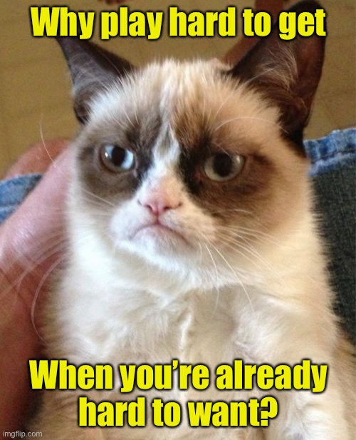 Grumpy Cat | Why play hard to get; When you’re already
hard to want? | image tagged in memes,grumpy cat | made w/ Imgflip meme maker