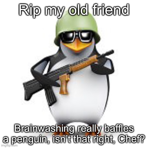 no anime penguin | Rip my old friend Brainwashing really baffles a penguin, isn’t that right, Chef? | image tagged in no anime penguin | made w/ Imgflip meme maker