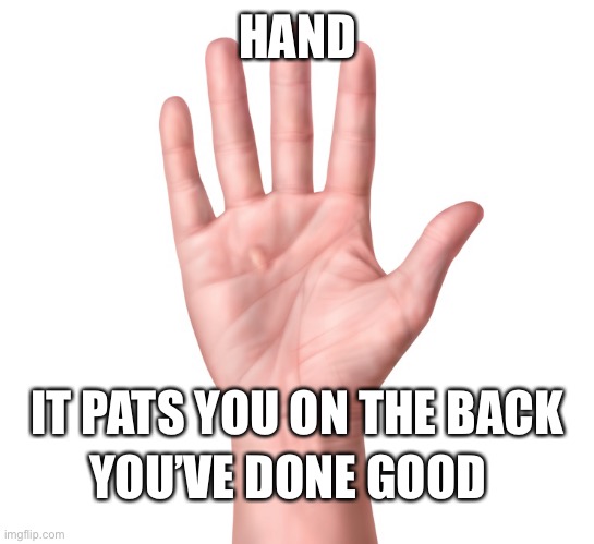 Be like hand | HAND; IT PATS YOU ON THE BACK; YOU’VE DONE GOOD | image tagged in hand | made w/ Imgflip meme maker