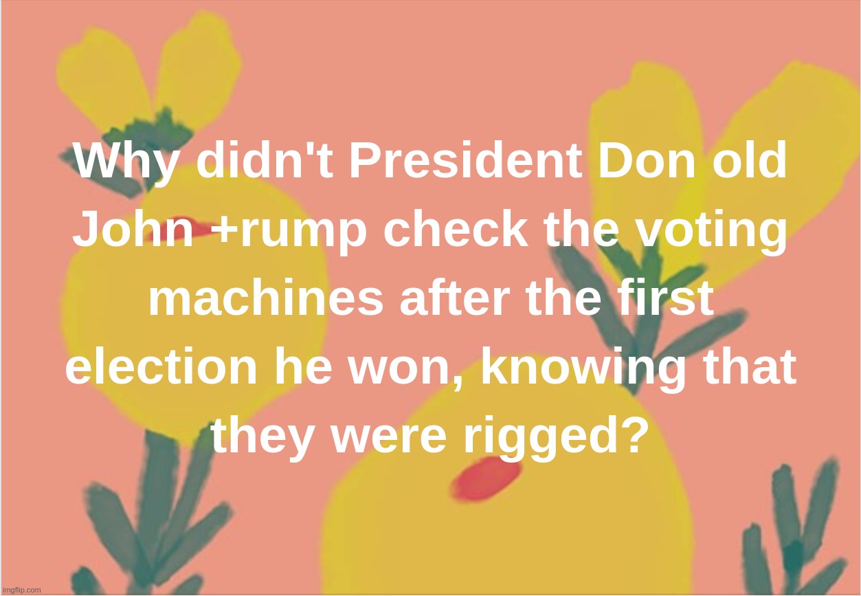 Why didn't President Don old John +rump check the voting machines after the first election he won,knowing that they were rigged? | image tagged in donald,trump,president,voting,fraud,election | made w/ Imgflip meme maker