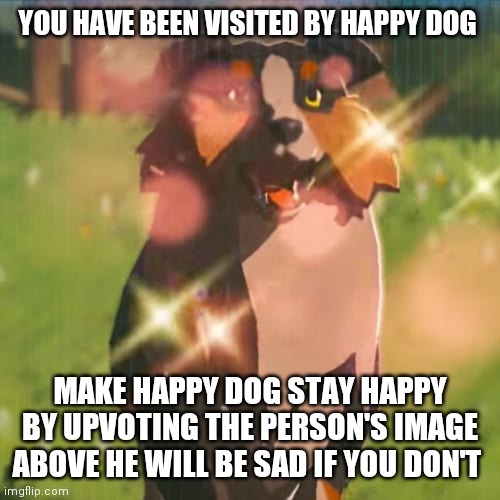 Happy dog | YOU HAVE BEEN VISITED BY HAPPY DOG; MAKE HAPPY DOG STAY HAPPY BY UPVOTING THE PERSON'S IMAGE ABOVE HE WILL BE SAD IF YOU DON'T | image tagged in zelda dog | made w/ Imgflip meme maker