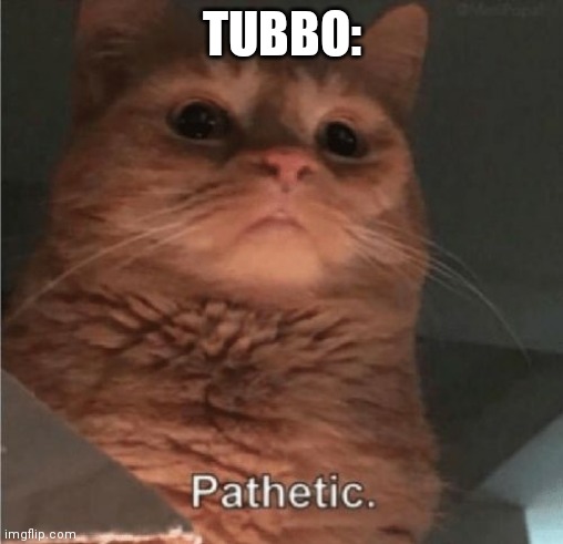 Pathetic Cat | TUBBO: | image tagged in pathetic cat | made w/ Imgflip meme maker