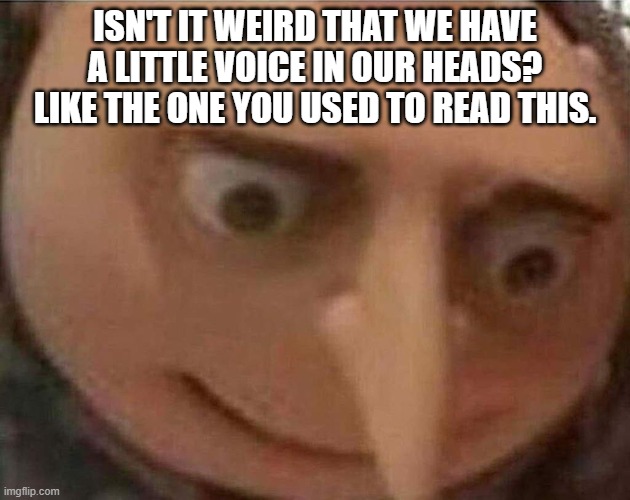 Me rethinking life right now |  ISN'T IT WEIRD THAT WE HAVE A LITTLE VOICE IN OUR HEADS? LIKE THE ONE YOU USED TO READ THIS. | image tagged in gru meme | made w/ Imgflip meme maker