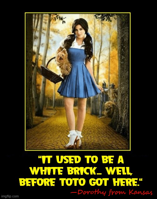 "IT USED TO BE A WHITE BRICK... WELL, BEFORE TOTO GOT HERE." —Dorothy from Kansas | made w/ Imgflip meme maker