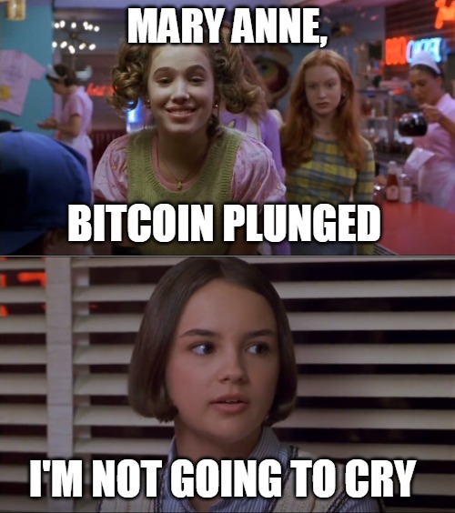 Cokie Talks to Mary Anne | MARY ANNE, BITCOIN PLUNGED; I'M NOT GOING TO CRY | image tagged in cokie talks to mary anne,memes,bitcoin | made w/ Imgflip meme maker