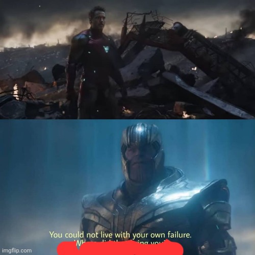Thanos you could not live with your own failure | image tagged in thanos you could not live with your own failure | made w/ Imgflip meme maker