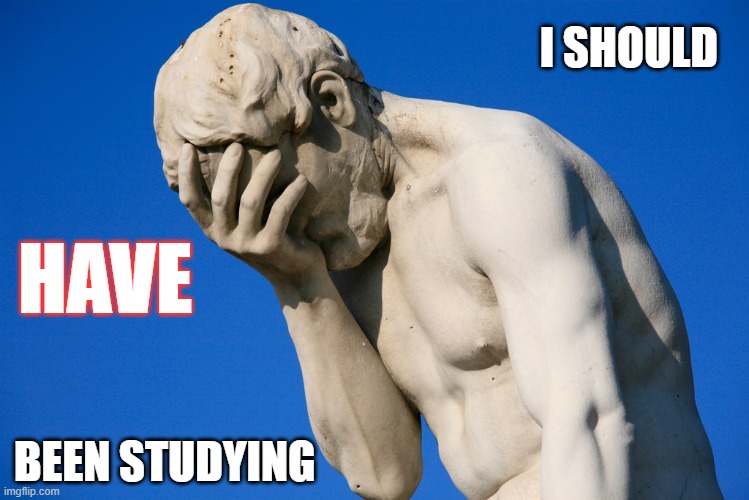 Should OF | I SHOULD; HAVE; BEEN STUDYING | image tagged in embarrassed statue | made w/ Imgflip meme maker