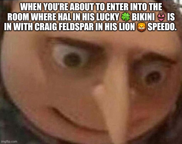 gru meme | WHEN YOU’RE ABOUT TO ENTER INTO THE ROOM WHERE HAL IN HIS LUCKY 🍀 BIKINI 👙 IS IN WITH CRAIG FELDSPAR IN HIS LION 🦁 SPEEDO. | image tagged in gru meme | made w/ Imgflip meme maker