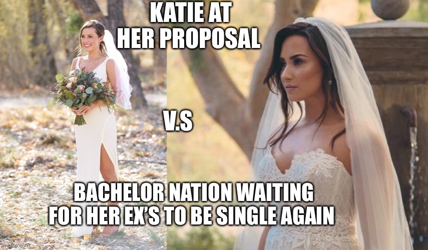 Katie’s Bachelorette Season | KATIE AT HER PROPOSAL; V.S; BACHELOR NATION WAITING FOR HER EX’S TO BE SINGLE AGAIN | image tagged in demi lovato | made w/ Imgflip meme maker