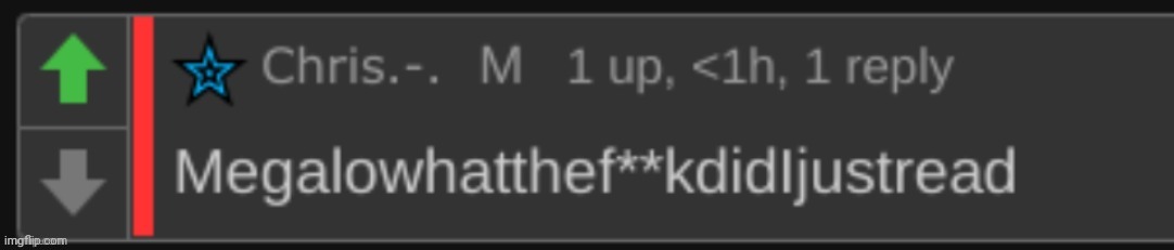 Megalowhatthefuckdidijustread | image tagged in megalowhatthefuckdidijustread | made w/ Imgflip meme maker