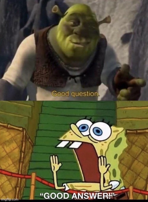 Uhh | image tagged in shrek good question,good answer | made w/ Imgflip meme maker