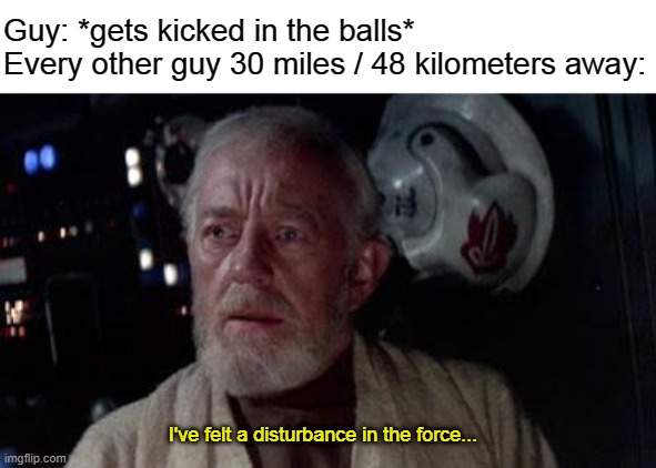 Disturbance in the force | Guy: *gets kicked in the balls*
Every other guy 30 miles / 48 kilometers away:; I've felt a disturbance in the force... | image tagged in disturbance in the force | made w/ Imgflip meme maker