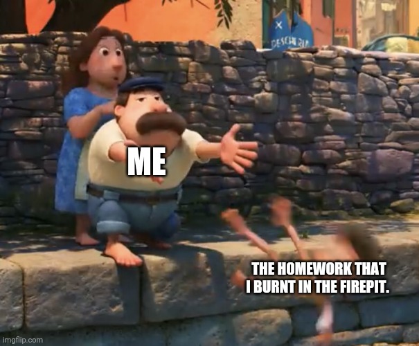 Why homework!!?? | ME; THE HOMEWORK THAT I BURNT IN THE FIREPIT. | image tagged in luca push in water | made w/ Imgflip meme maker