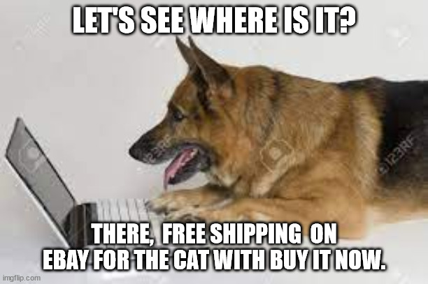 German Sheherd sells cat on Ebay. | LET'S SEE WHERE IS IT? THERE,  FREE SHIPPING  ON EBAY FOR THE CAT WITH BUY IT NOW. | image tagged in german shepherd | made w/ Imgflip meme maker
