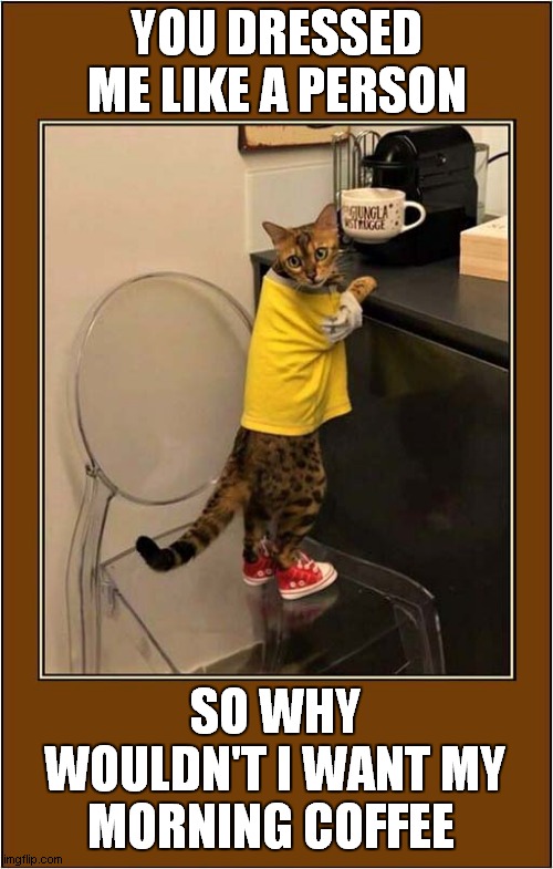 Cat Having Identity Crisis ? | YOU DRESSED ME LIKE A PERSON; SO WHY WOULDN'T I WANT MY MORNING COFFEE | image tagged in cats,clothing,identity crisis,coffee | made w/ Imgflip meme maker