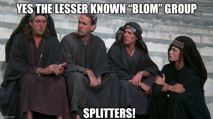 Life of Brian People's Front of Judea | YES THE LESSER KNOWN “BLOM” GROUP SPLITTERS! | image tagged in life of brian people's front of judea | made w/ Imgflip meme maker