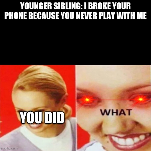 The What | YOUNGER SIBLING: I BROKE YOUR PHONE BECAUSE YOU NEVER PLAY WITH ME; YOU DID | image tagged in the what,phone,siblings,angry | made w/ Imgflip meme maker