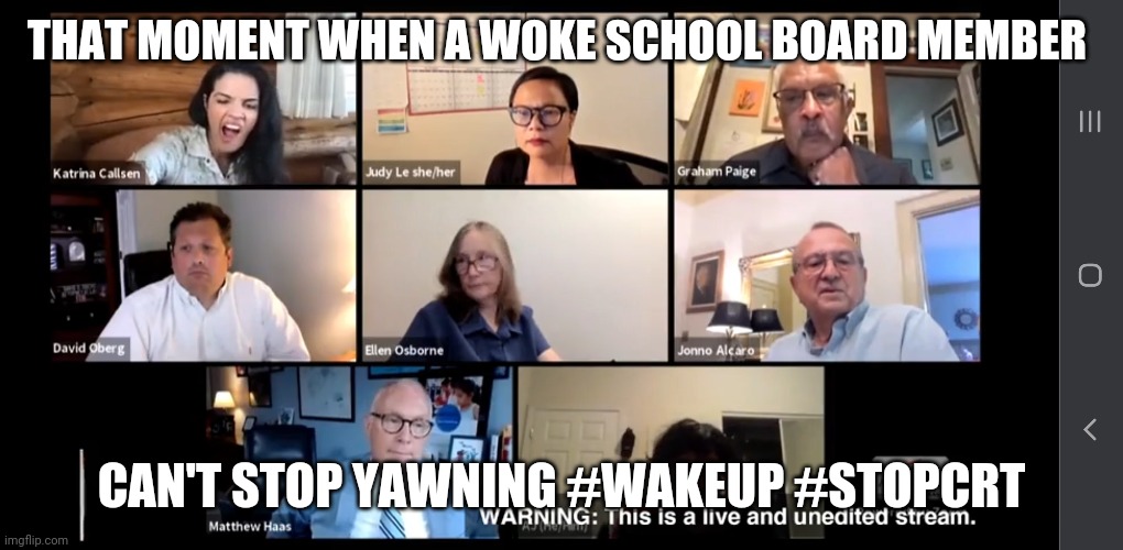 Sleepy School Board Member | THAT MOMENT WHEN A WOKE SCHOOL BOARD MEMBER; CAN'T STOP YAWNING #WAKEUP #STOPCRT | image tagged in meme | made w/ Imgflip meme maker