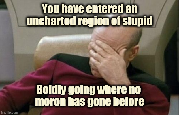 Captain Picard Facepalm Meme | You have entered an uncharted region of stupid Boldly going where no 
moron has gone before | image tagged in memes,captain picard facepalm | made w/ Imgflip meme maker