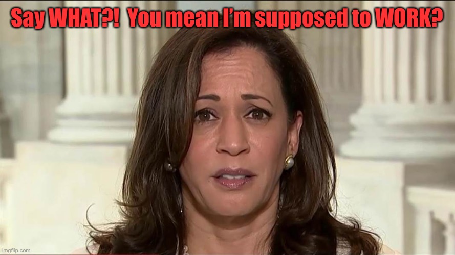 And this woman wants to be President?! | Say WHAT?!  You mean I’m supposed to WORK? | image tagged in kamala harris,work,unorganized | made w/ Imgflip meme maker