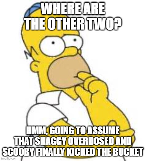 Homer Simpson Hmmmm | WHERE ARE THE OTHER TWO? HMM, GOING TO ASSUME THAT SHAGGY OVERDOSED AND SCOOBY FINALLY KICKED THE BUCKET | image tagged in homer simpson hmmmm | made w/ Imgflip meme maker