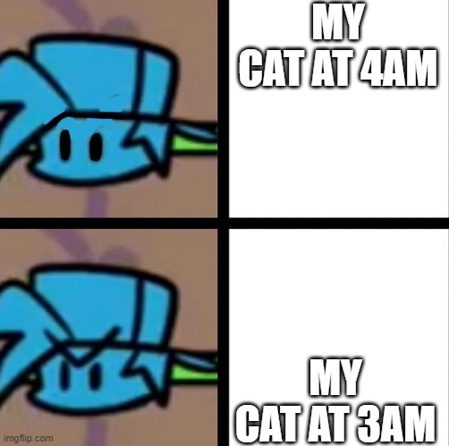 Fnf | MY CAT AT 4AM MY CAT AT 3AM | image tagged in fnf | made w/ Imgflip meme maker