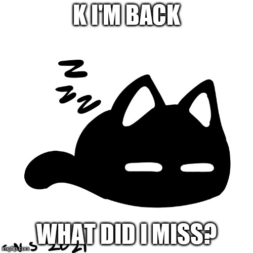 Mewo :3 | K I'M BACK; WHAT DID I MISS? | image tagged in mewo 3 | made w/ Imgflip meme maker