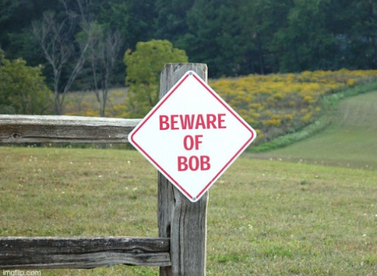 Beware of bob Blank Meme Template