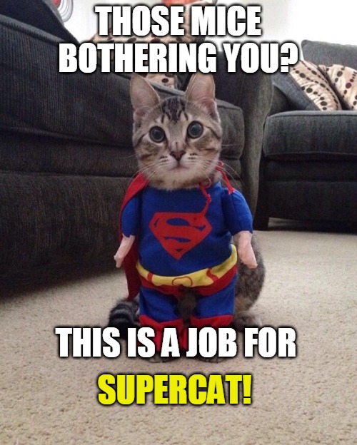 Supercat | THOSE MICE BOTHERING YOU? THIS IS A JOB FOR; SUPERCAT! | image tagged in supercat,memes,cat,cats,Catmemes | made w/ Imgflip meme maker