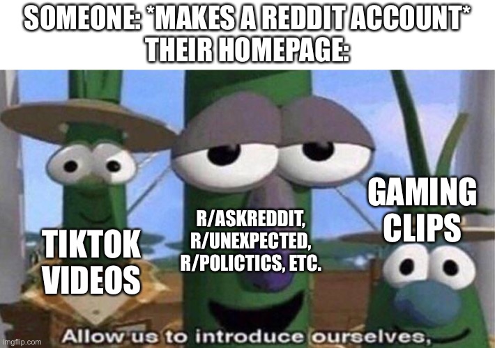 Reddit Timelines | SOMEONE: *MAKES A REDDIT ACCOUNT*
THEIR HOMEPAGE:; GAMING CLIPS; R/ASKREDDIT, R/UNEXPECTED, R/POLICTICS, ETC. TIKTOK VIDEOS | image tagged in allow us to introduce ourselves,reddit,redditor,tiktok,veggietales | made w/ Imgflip meme maker