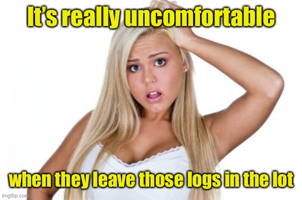 Dumb Blonde | It’s really uncomfortable when they leave those logs in the lot | image tagged in dumb blonde | made w/ Imgflip meme maker